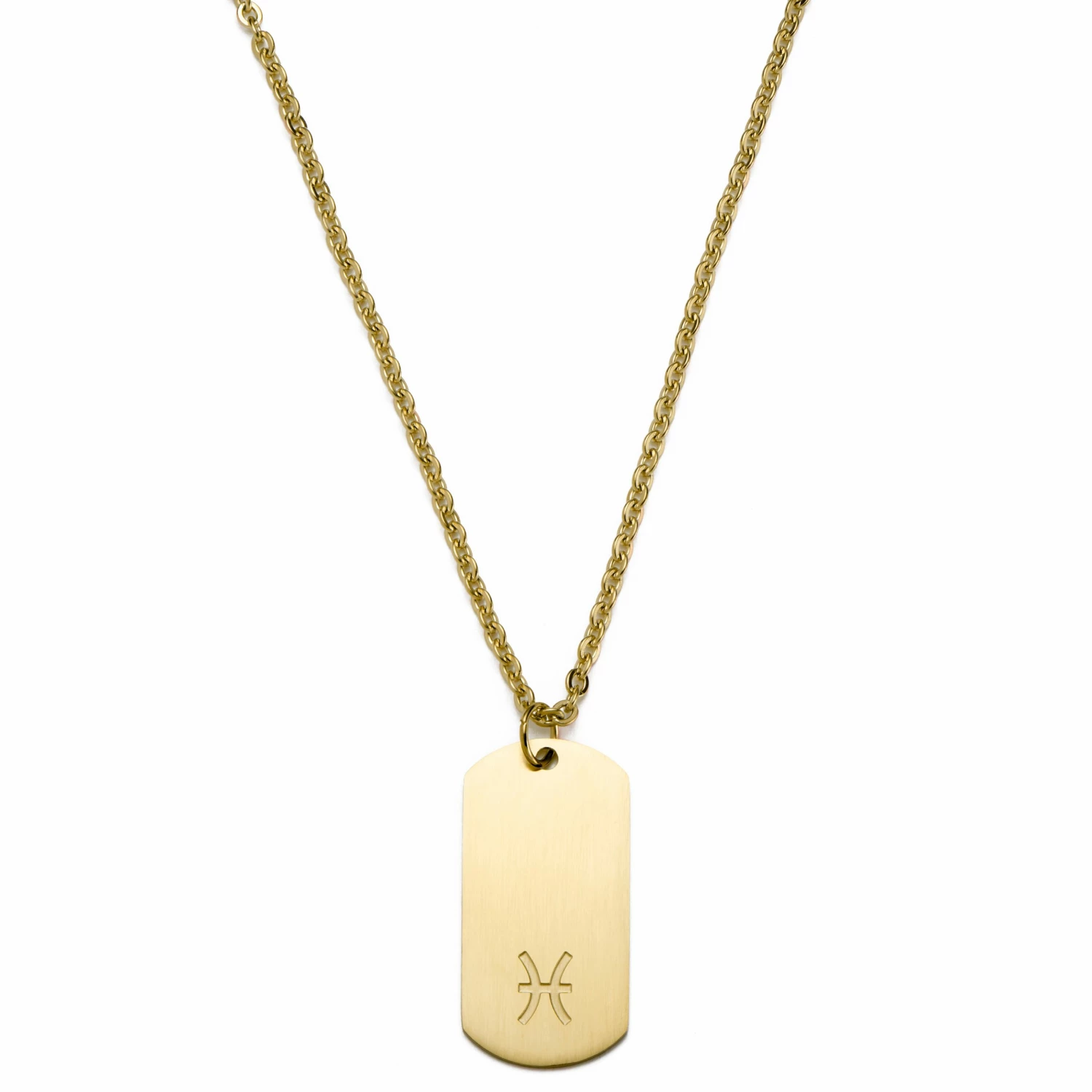 Lucleon Zodiac | Gold-Tone Pisces Star Sign Dog Tag Cable Chain Necklace 3 Lucleon Zodiac | Gold-Tone Pisces Star Sign Dog Tag Cable Chain Necklace