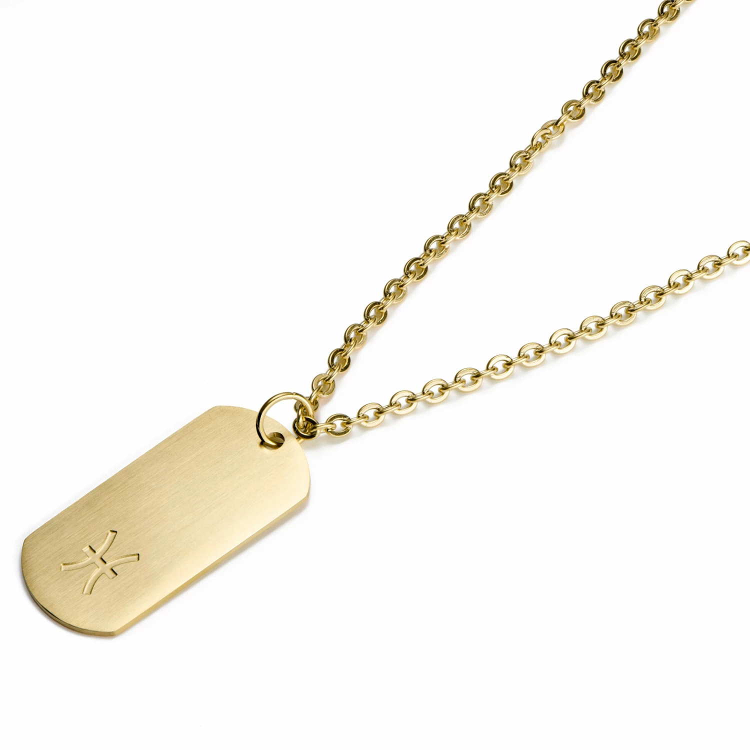 Lucleon Zodiac | Gold-Tone Pisces Star Sign Dog Tag Cable Chain Necklace 4 Lucleon Zodiac | Gold-Tone Pisces Star Sign Dog Tag Cable Chain Necklace - Image 2