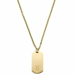 Lucleon Zodiac | Gold-Tone Taurus Star Sign Dog Tag Cable Chain Necklace
