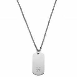 Lucleon Zodiac | Silver-Tone Stainless Steel Pisces Star Sign Dog Tag Cable Chain Necklace